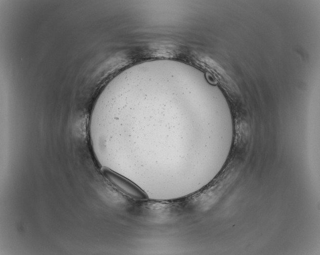 X0000111490325200908111229