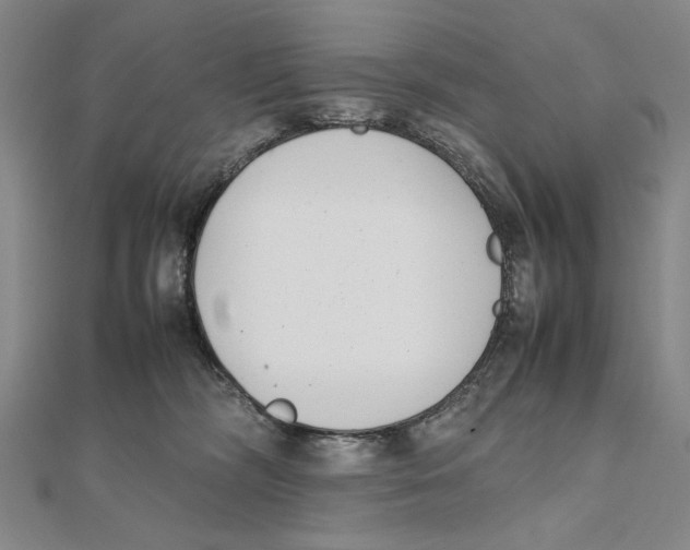 X0000111490326200908111229
