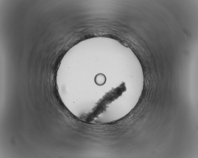 X0000111490327200908111229
