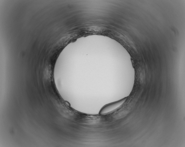 X0000111490328200908111229