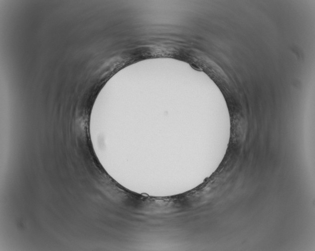 X0000111490329200908111229