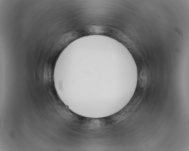 X0000111490330200908111229