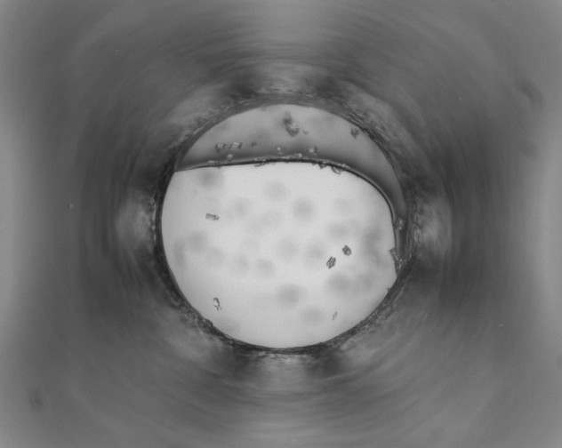 X0000111490332200908111229