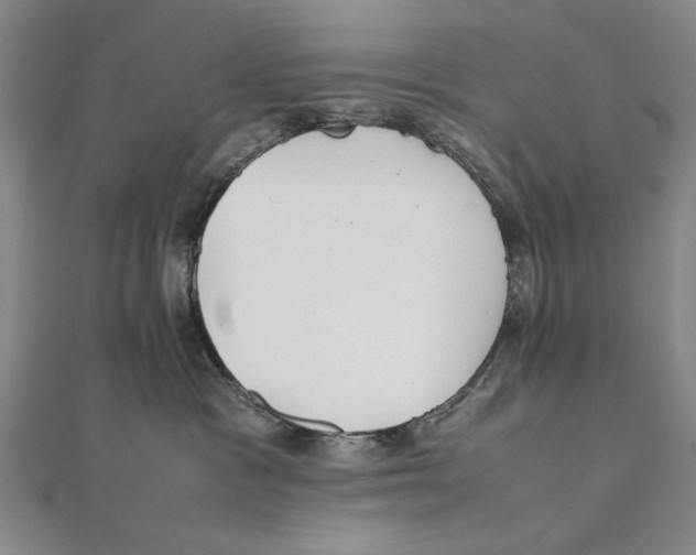 X0000111490333200908111229