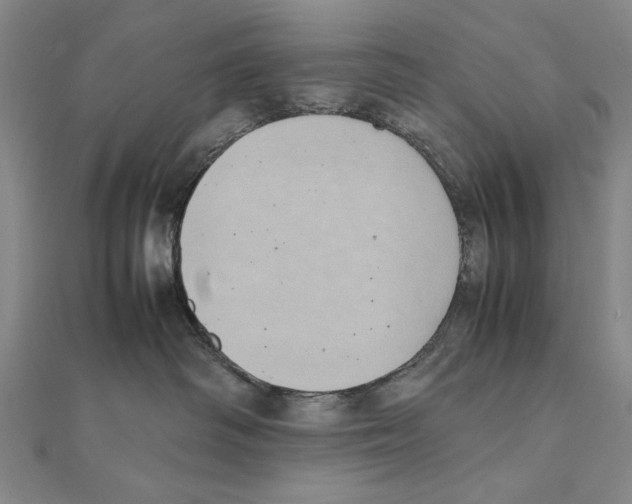 X0000111490334200908111229