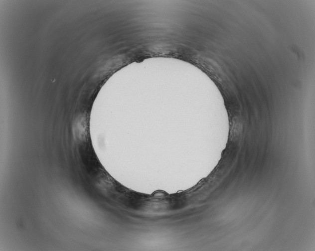 X0000111490335200908111229