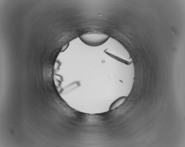 X0000111490336200908111229