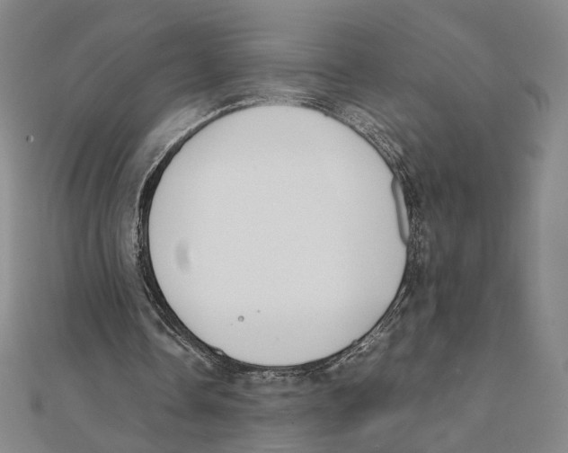 X0000111490338200908111229