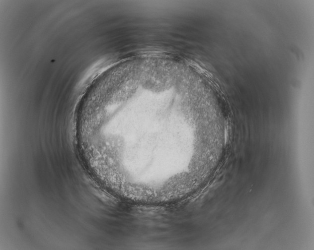 X0000111490339200908111229