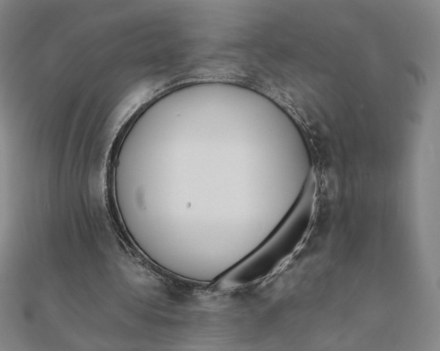 X0000111490340200908111229
