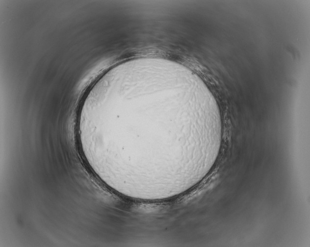 X0000111490341200908111229