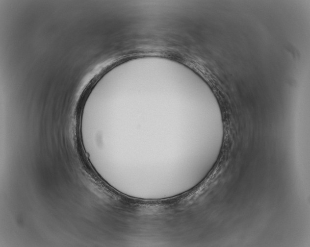 X0000111490342200908111229