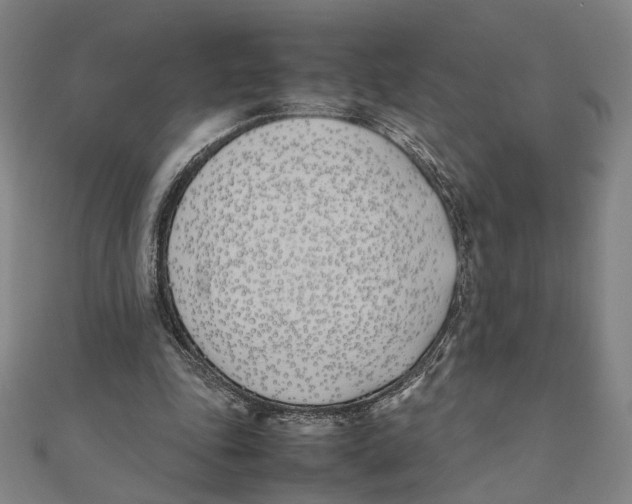 X0000111490343200908111229
