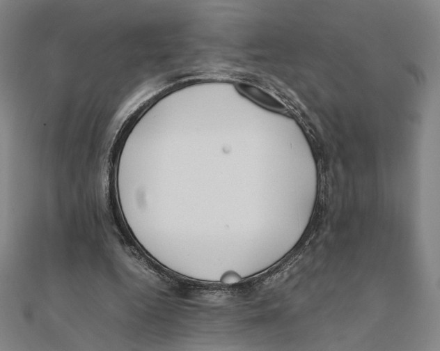 X0000111490344200908111229