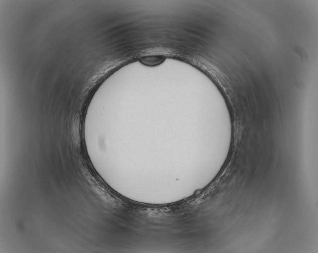 X0000111490345200908111229