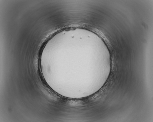 X0000111490346200908111229