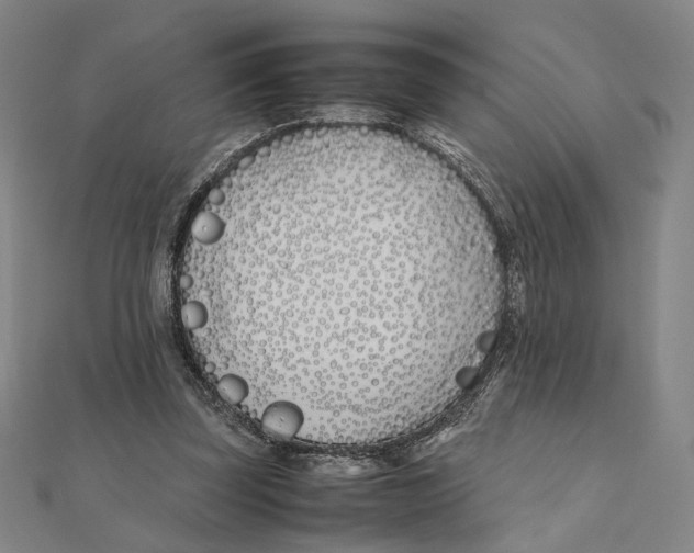 X0000111490347200908111229