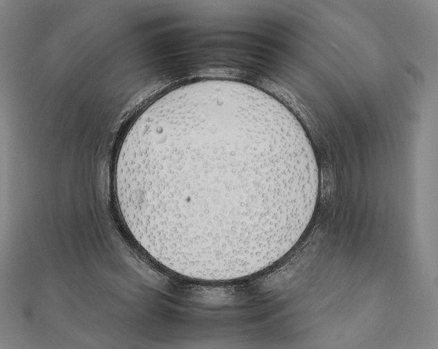 X0000111490349200908111229