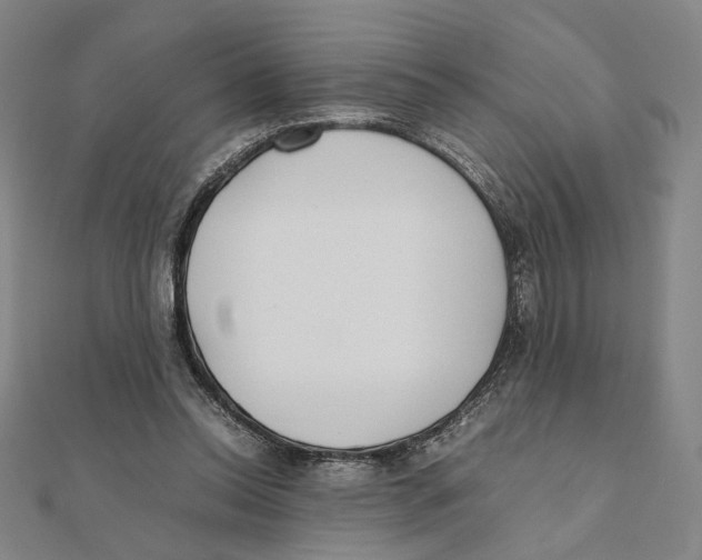 X0000111490350200908111229
