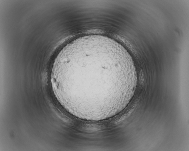 X0000111490351200908111229