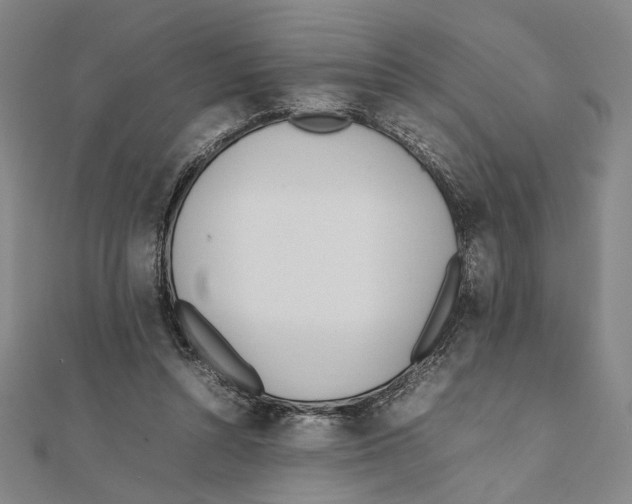 X0000111490352200908111229