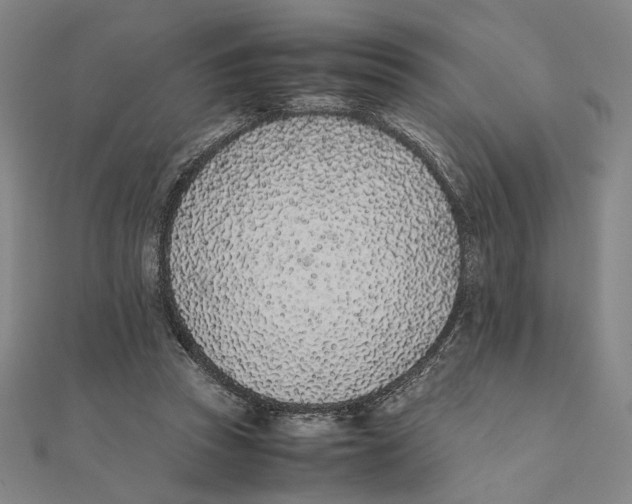 X0000111490353200908111229
