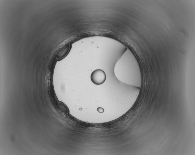 X0000111490356200908111229