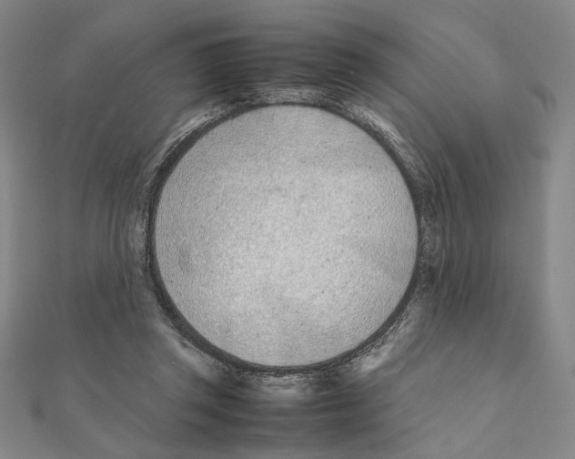 X0000111490357200908111229