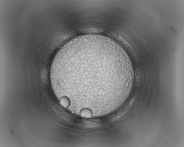 X0000111490359200908111229