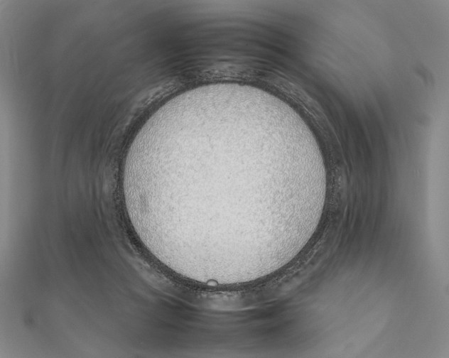 X0000111490361200908111229