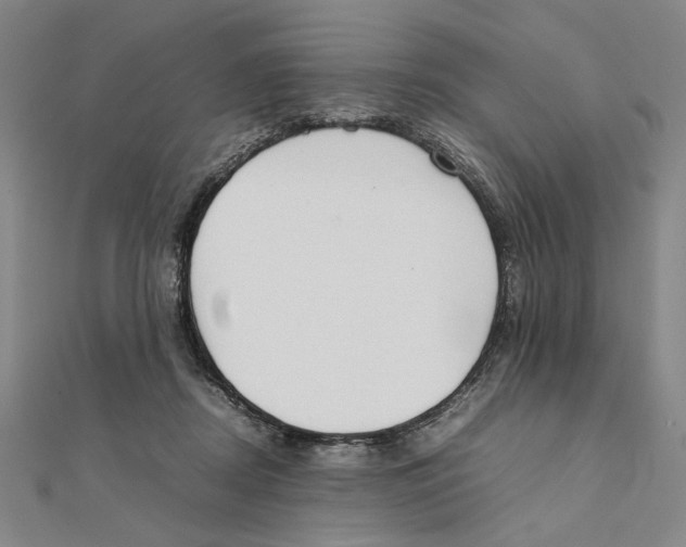 X0000111490362200908111229
