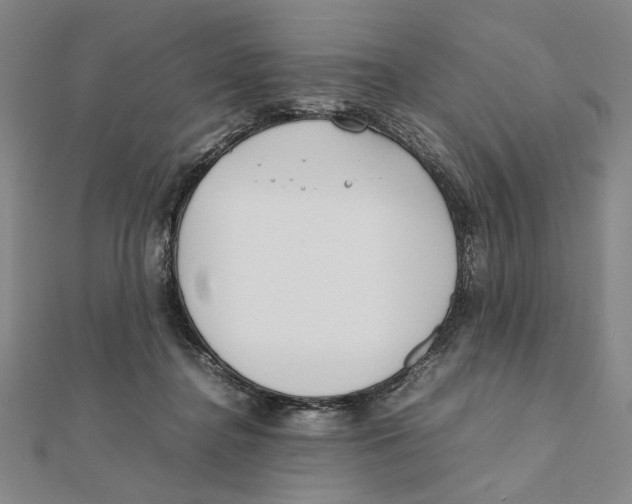 X0000111490364200908111229