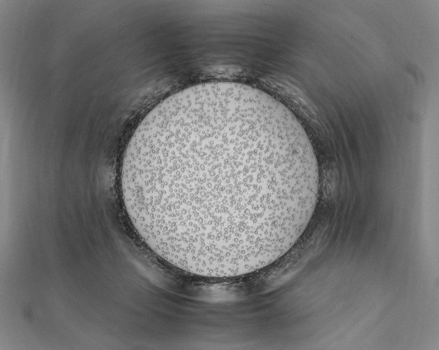 X0000111490365200908111229