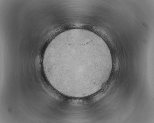 X0000111490366200908111229