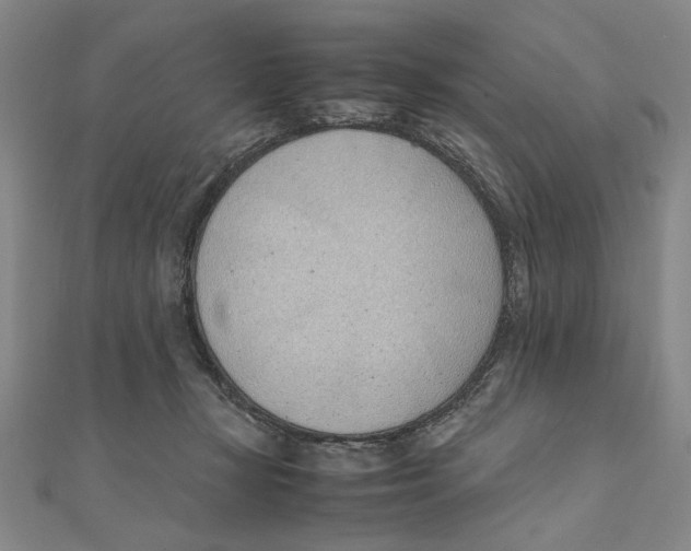 X0000111490367200908111229
