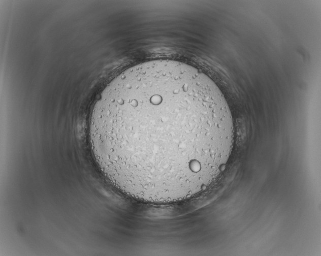 X0000111490369200908111229