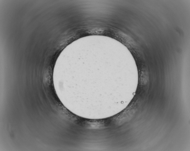 X0000111490370200908111229
