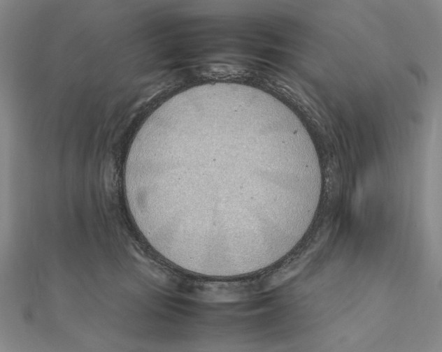 X0000111490371200908111229