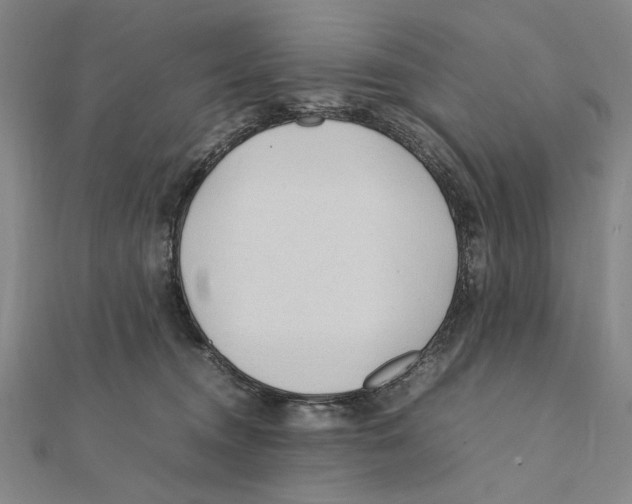 X0000111490372200908111229