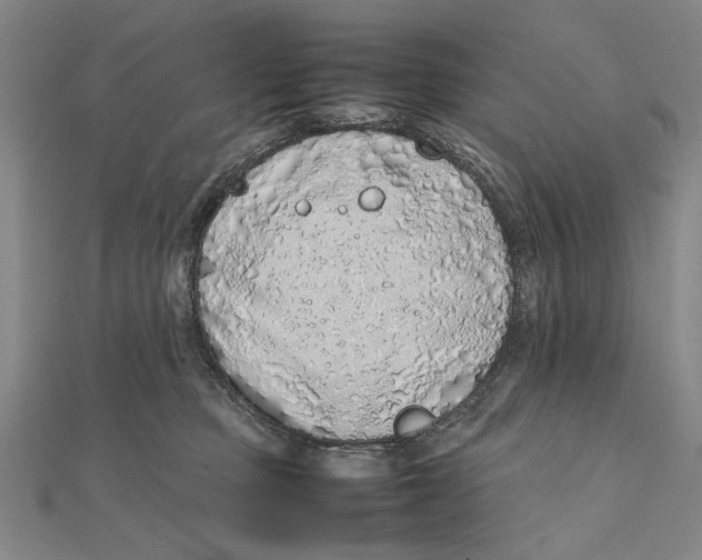 X0000111490373200908111229