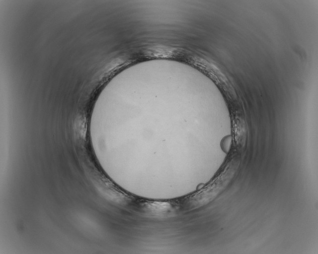 X0000111490374200908111229