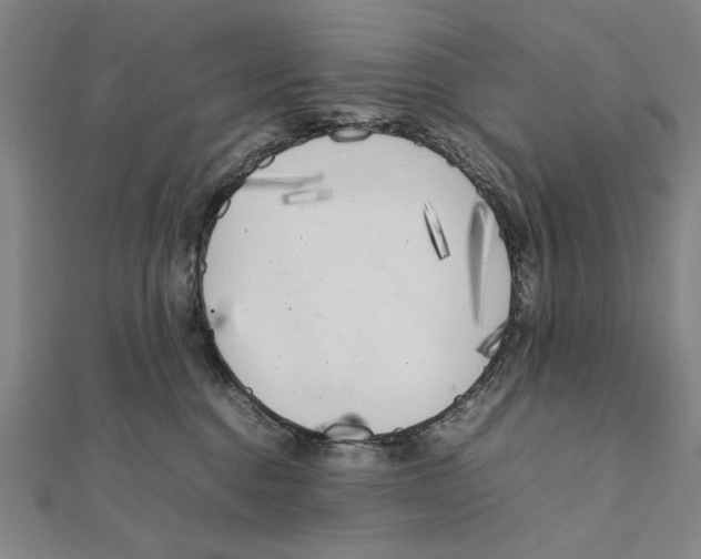 X0000111490376200908111229