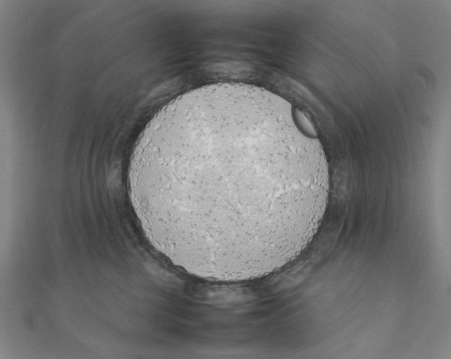X0000111490377200908111229