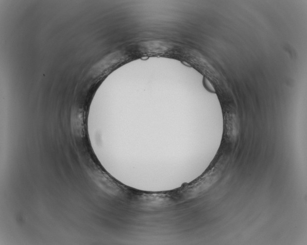 X0000111490378200908111229