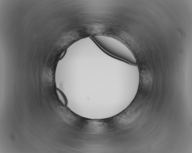 X0000111490380200908111229