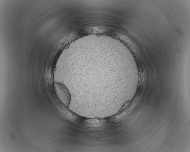 X0000111490381200908111229
