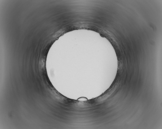 X0000111490382200908111229