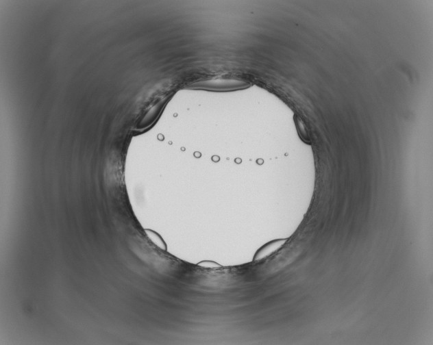 X0000111490384200908111229