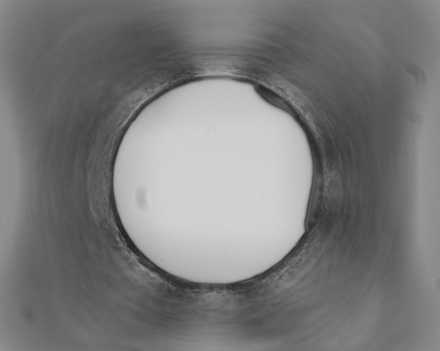 X0000111490385200908111229