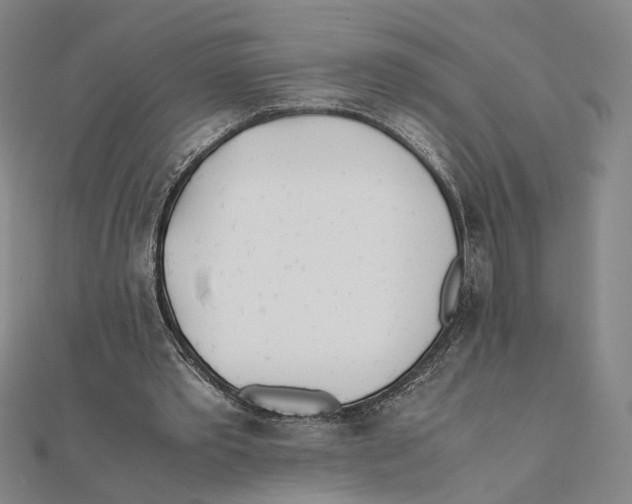 X0000111490389200908111229